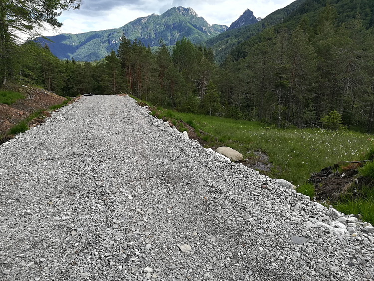 Devastazione torbiera alpina in Carnia